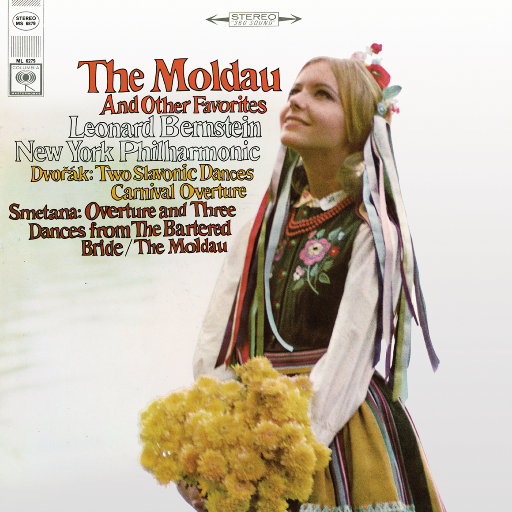 企业图像小鸡导航
